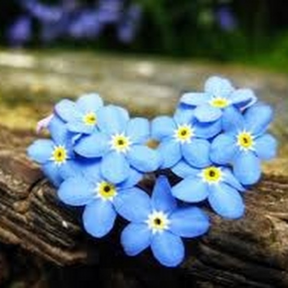 Meet your Posher, Megan - Picture 1 of 1